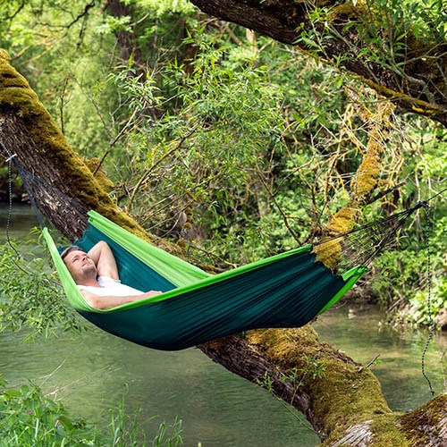 Silk Traveller Forest
