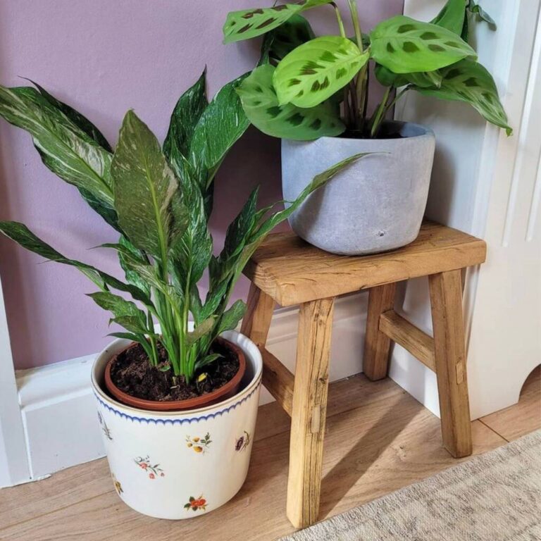Miniature Old Barn Reclaimed Elm Stool, Brown