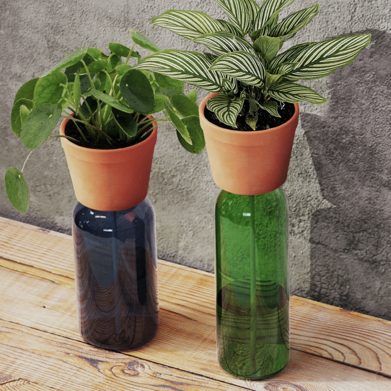 Self Watering Teracotta Bottle Planter